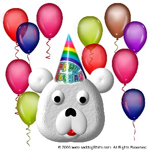 ../Images/birthday polar bear.jpg